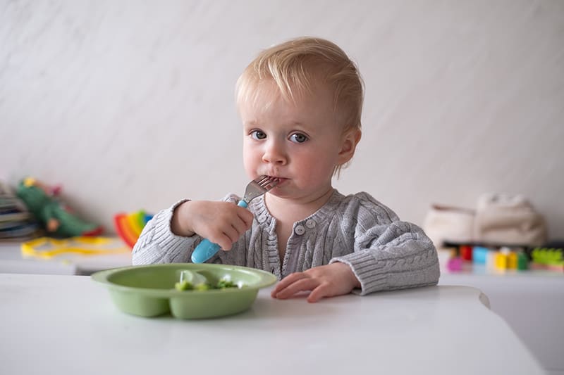 Can a speech therapist determine if my child is a picky or “problem” eater? | Chicago Speech Therapy